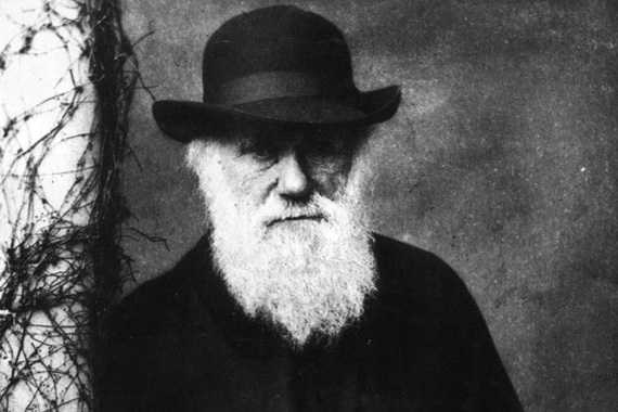 darwin,evoluzionismo,principio evolutivo