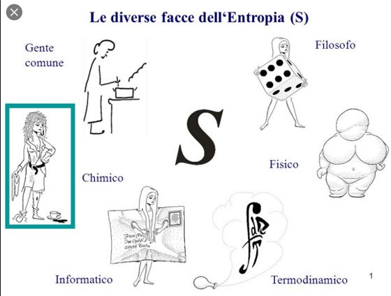 entropia, termodinamica,covid