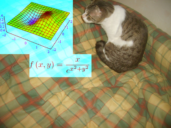 analisi matematica,felini,funzioni reali