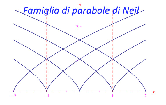 parabole di neil,cuspide,famiglia,curva discriminante