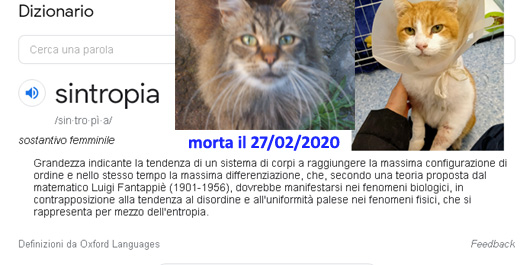 sintropia, organismi viventi,entropia