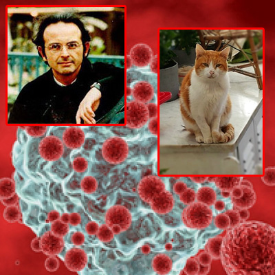 cellule tumorali,invecchiamento,maturana varela