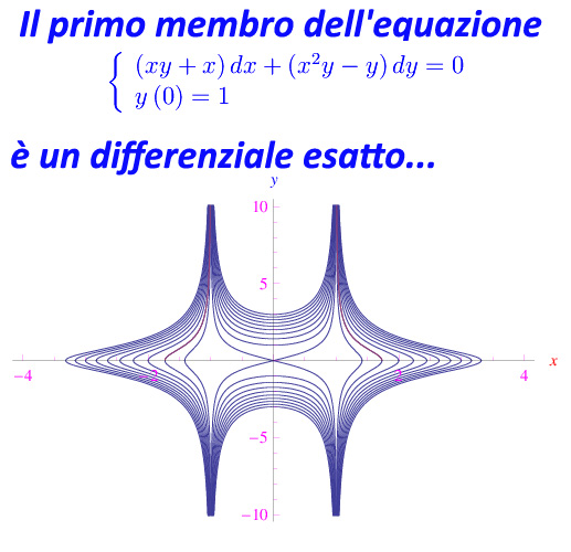 equazioni differenziali del primo ordine,separazione di variabili, problema di cauchy