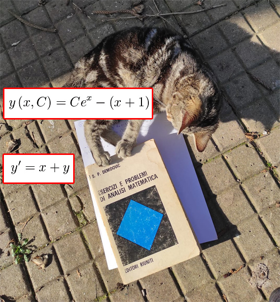 equazioni differenziali, gatti matematici