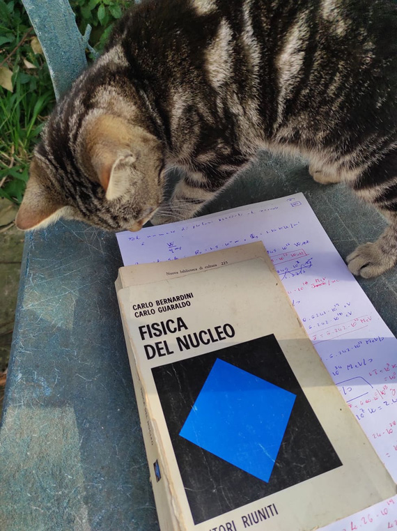 combustione termonucleare, fisica del nucleo, carlo bernardini