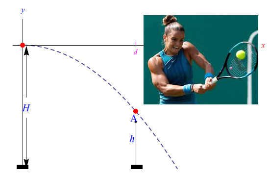 tennista,palla,angolo,rete