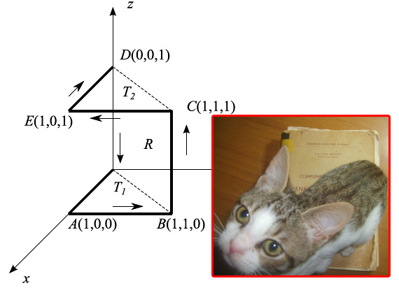 teorema di stokes,ghizzetti,analisi matematica,integrali di superficie