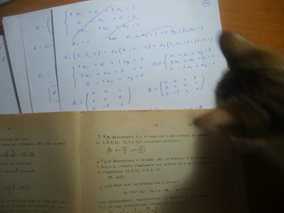 esercizi vettori,geometria 1,fisica 1