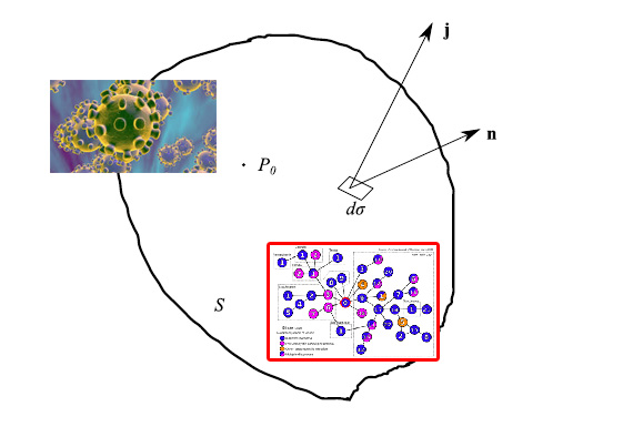 equazione di continuità,bilancio,coronavirus,teorema della divergenza