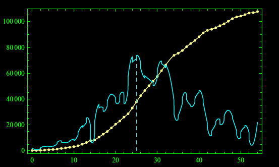 coronavirus,picco massimo, punto di flesso, derivata prima