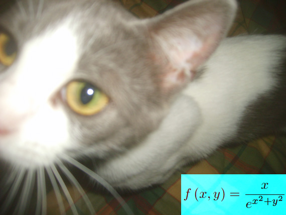 analisi matematica,felini,funzioni reali